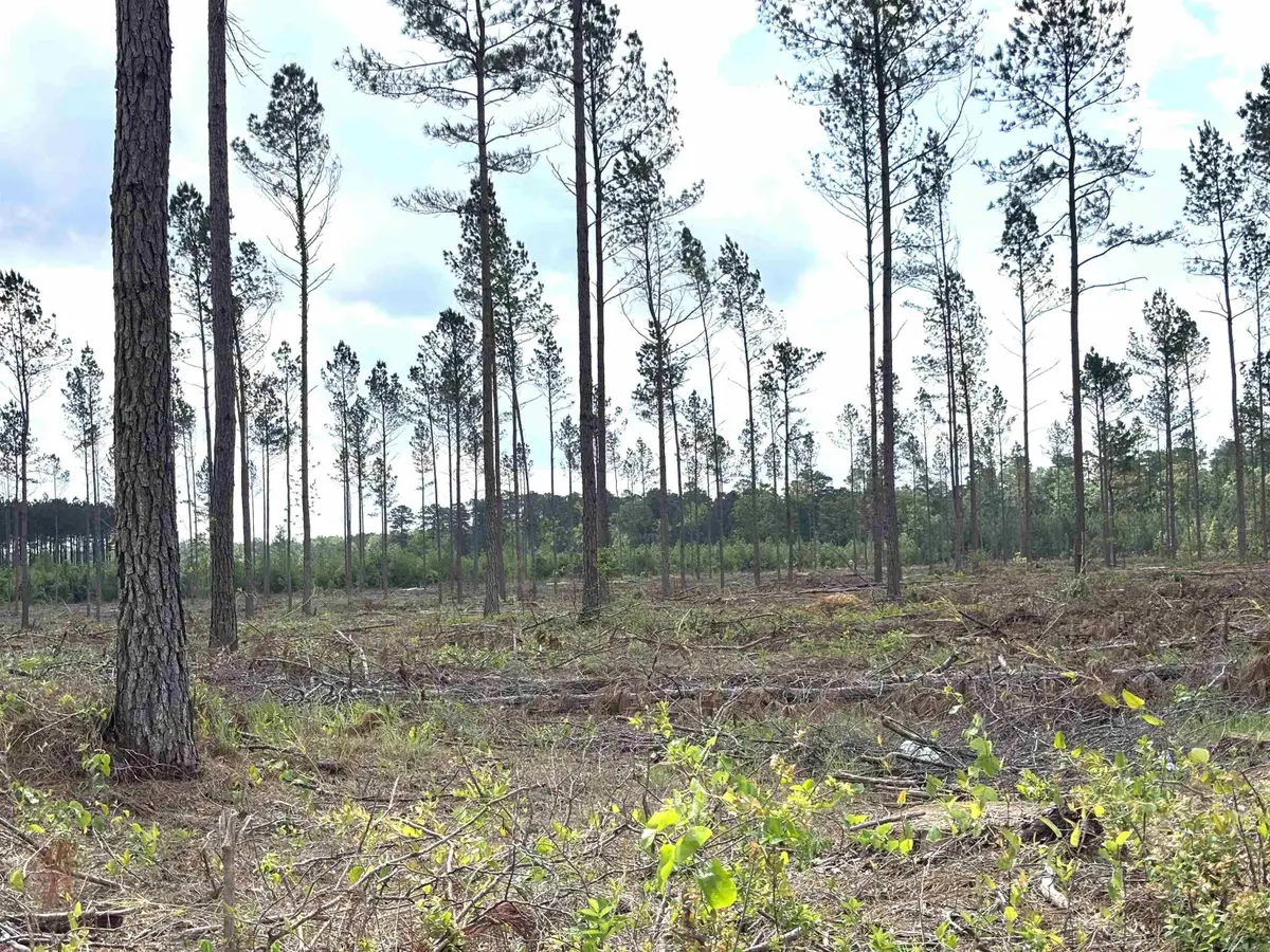 0 Grant County Road 9 (b), Sheridan, AR 72150 - Image #1