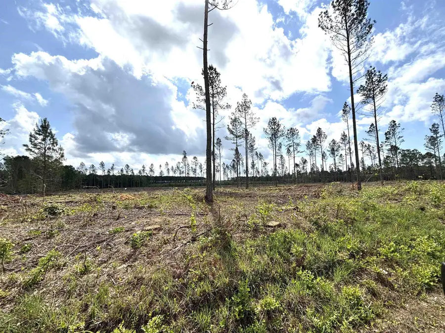 0 Grant County Road 9 (b), Sheridan, AR 72150 - Image #2