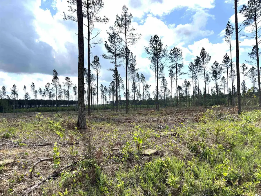 0 Grant County Road 9 (b), Sheridan, AR 72150 - Image #3