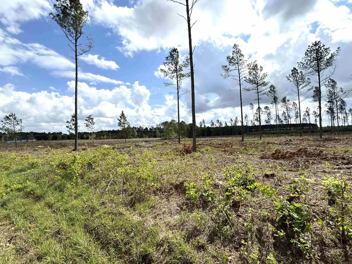 0 Grant County Road 9 (c), Sheridan, AR 72150 - Image #1