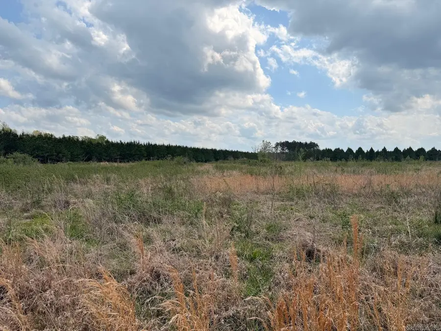 Hwy 172, Monticello, AR 71655 - Image #3