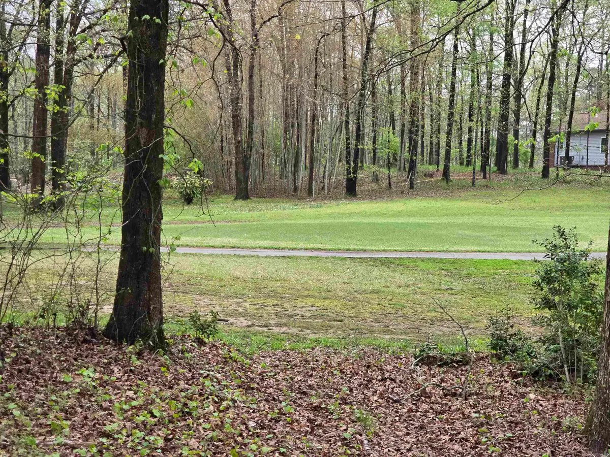 Lot 1585A Diamondhead Drive, Hot Springs, AR 71913 - Image #1