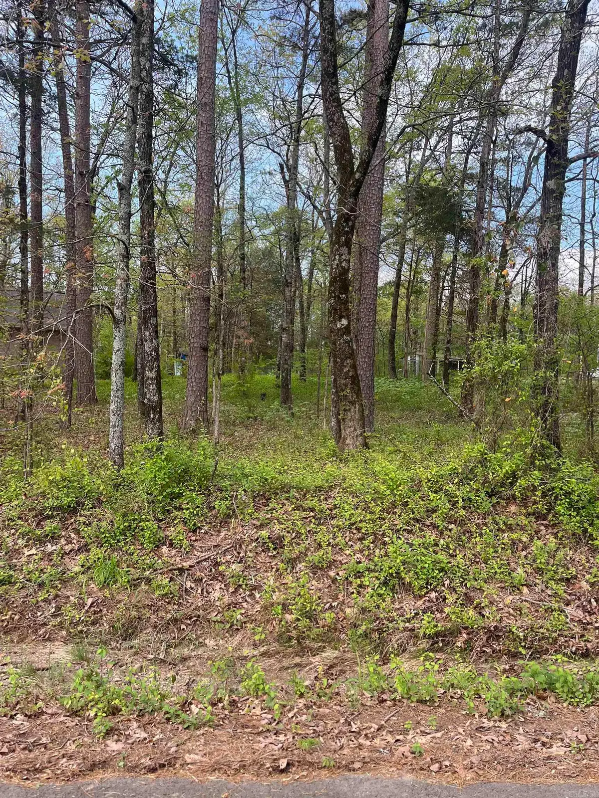 Lot #2 Lynch Rd., Bradley, AR 72013 - Image #1