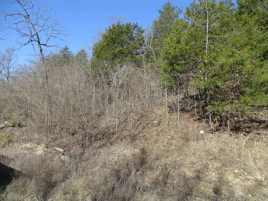 001-00379-001 Mc 6064, Flippin, AR 72634 - #3