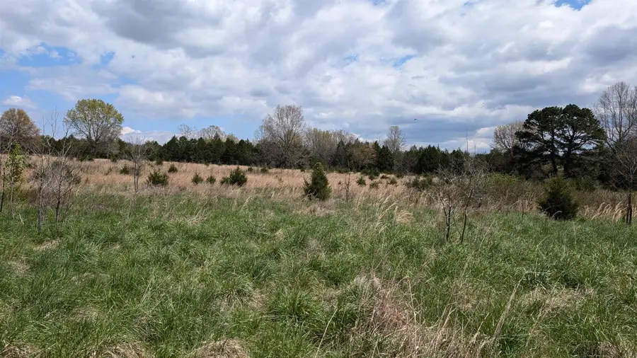 56 Highway, Ash Flat, AR 72513 - Image #3