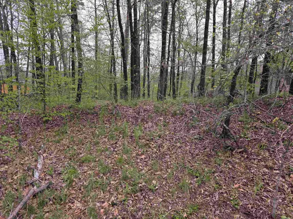 Lot 2238 Plum Hollow, Hot Springs, AR 71913