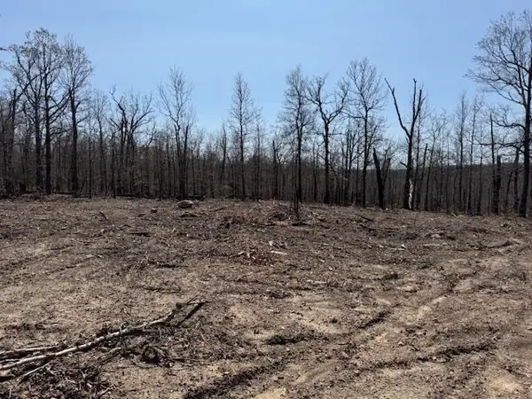 303 Mother Lode Drive, Horseshoe Bend, AR 72512