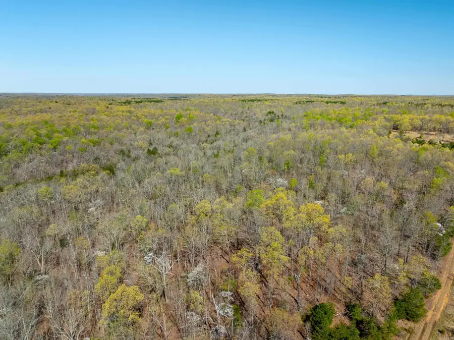 990 Moore Road, Sidney, AR 72577 - Image #3