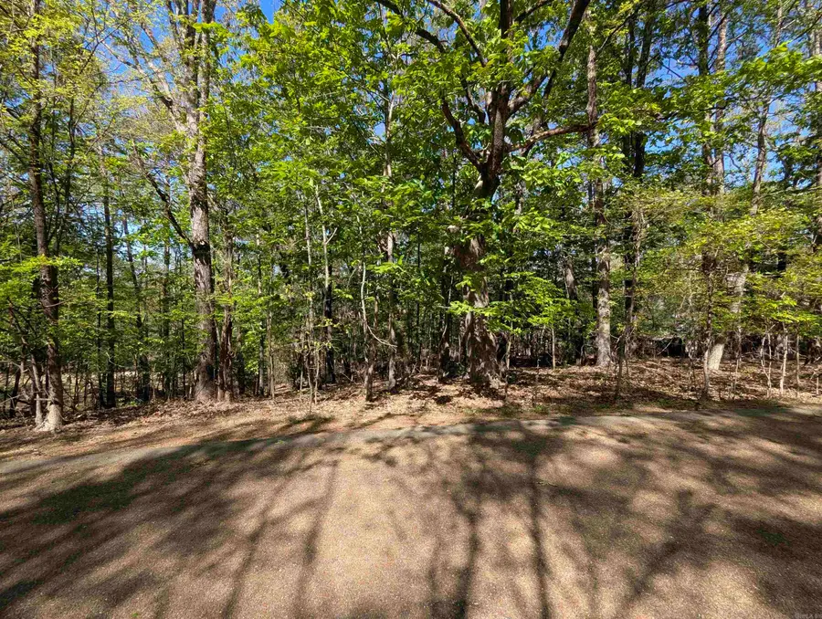 Lot 35RR Country Club Add., Eden Isle, Heber Springs, AR 72543 - Image #2