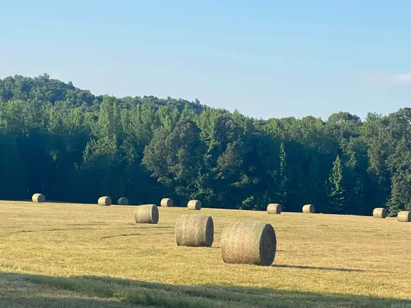 206 Manning Road, Mt. Vernon, AR 72111