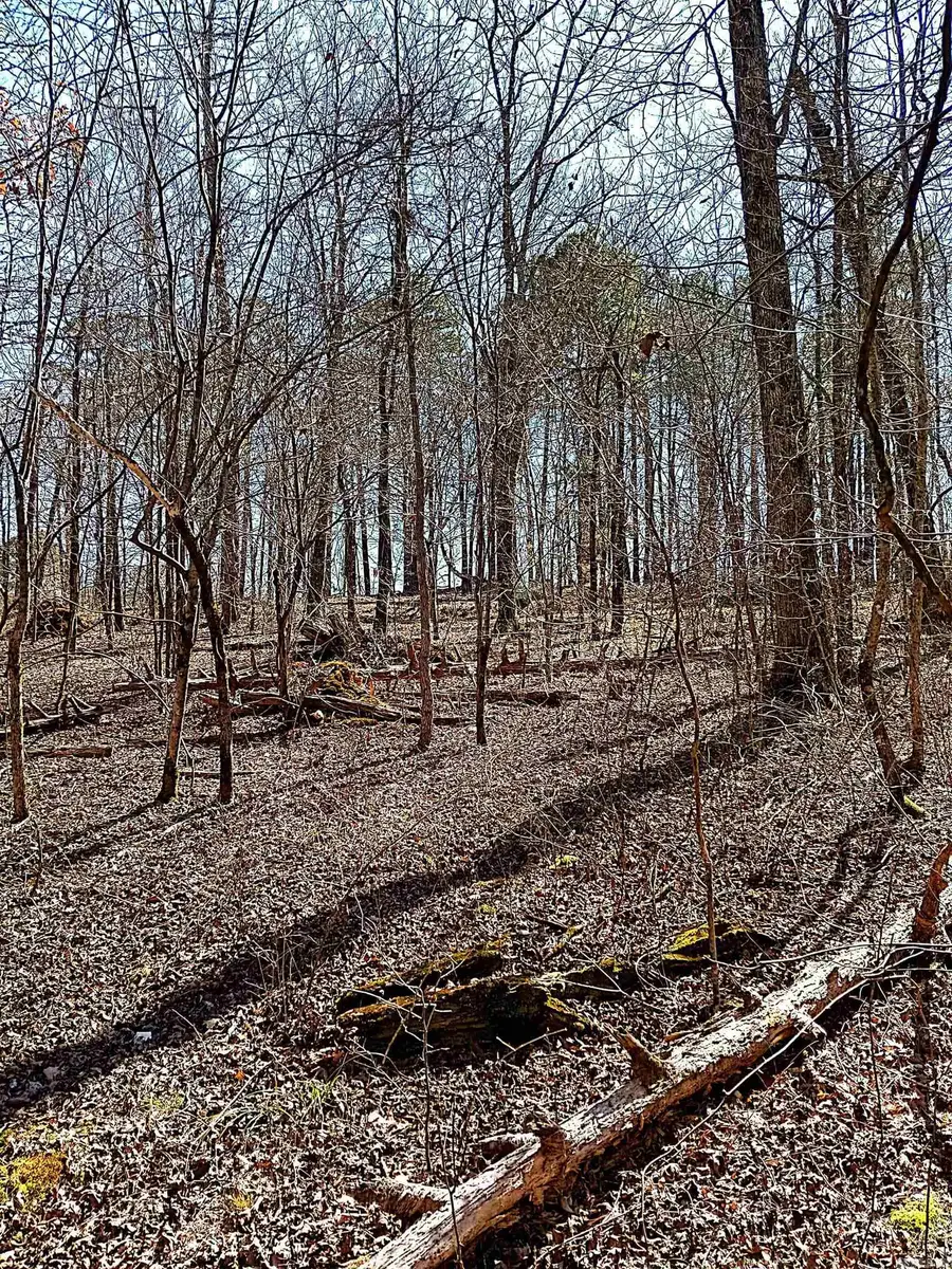 Address Withheld By Seller, Hot Springs Village, AR 71909 - Image #2