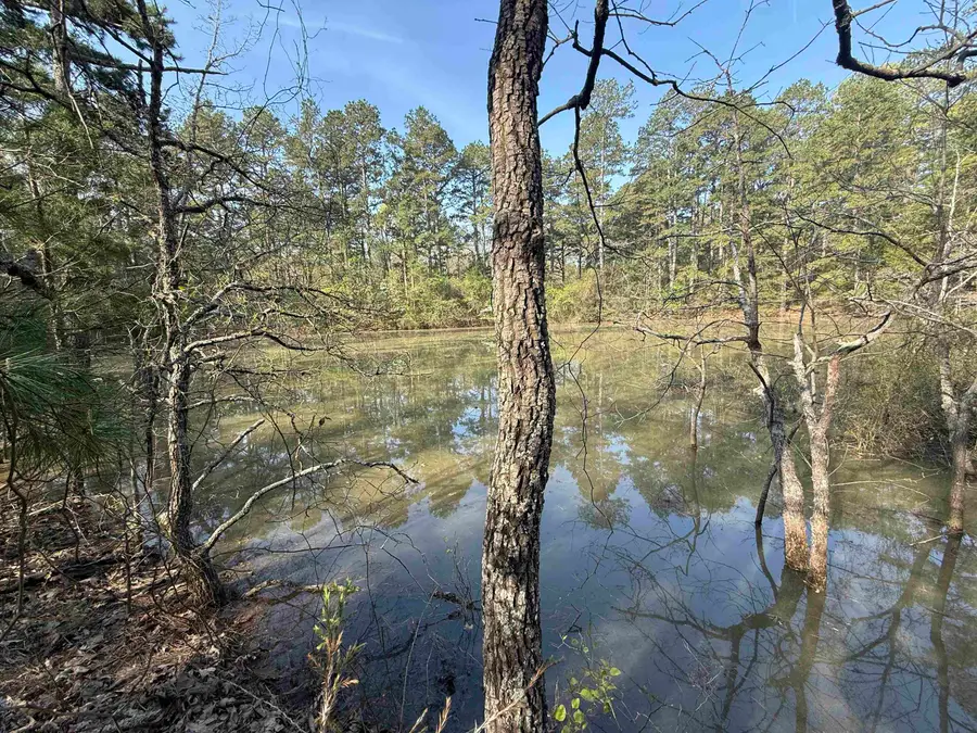 1314 Shoemaker Road, Violet Hill, AR 72584 - Image #2