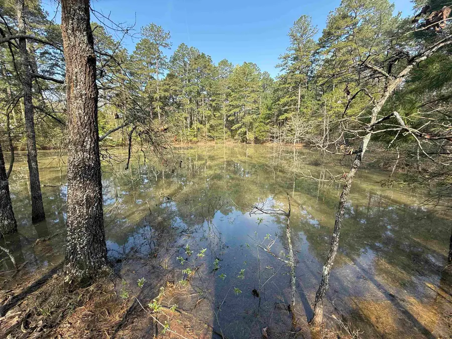 1314 Shoemaker Road, Violet Hill, AR 72584 - Image #3