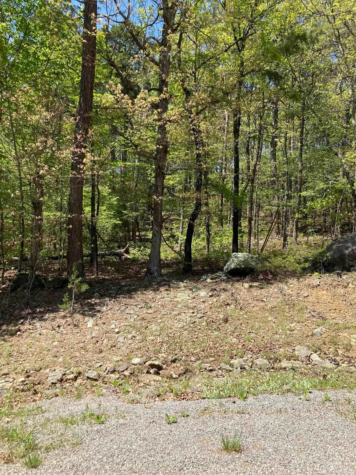 Lot 264 block22 Persimmon Rd, Fairfield Bay, AR 72088 - Image #1