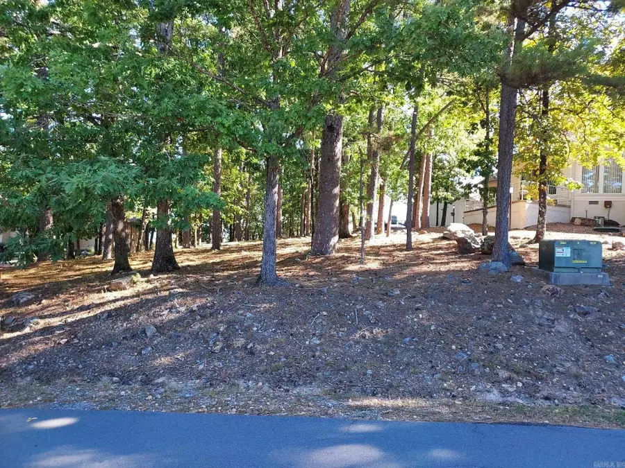 126 Mesero Way, Hot Springs Village, AR 71909 - Image #3