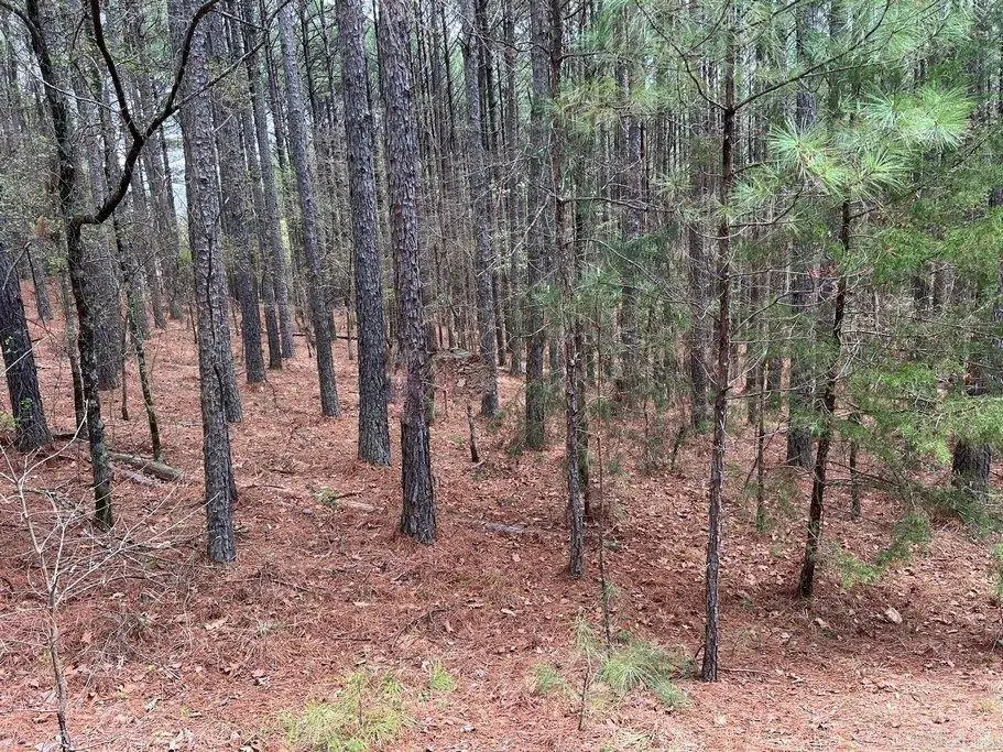 1 Atajar Place, Hot Springs Village, AR 71909 - Image #1