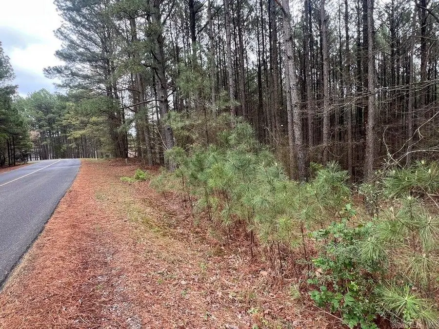 1 Atajar Place, Hot Springs Village, AR 71909 - Image #2