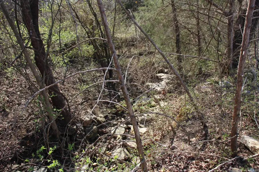 lot 1 Kingsberry Drive, Mountain Home, AR 72653 - #2