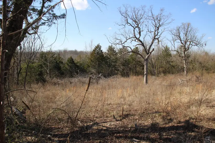 lot 1 Kingsberry Drive, Mountain Home, AR 72653 - #3
