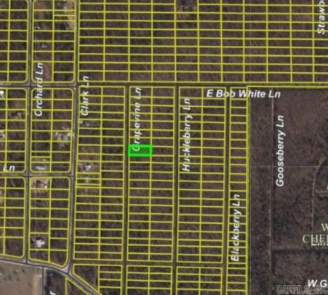 1206 Grapevine Ln, Horseshoe Bend, AR 72512 - Image #1