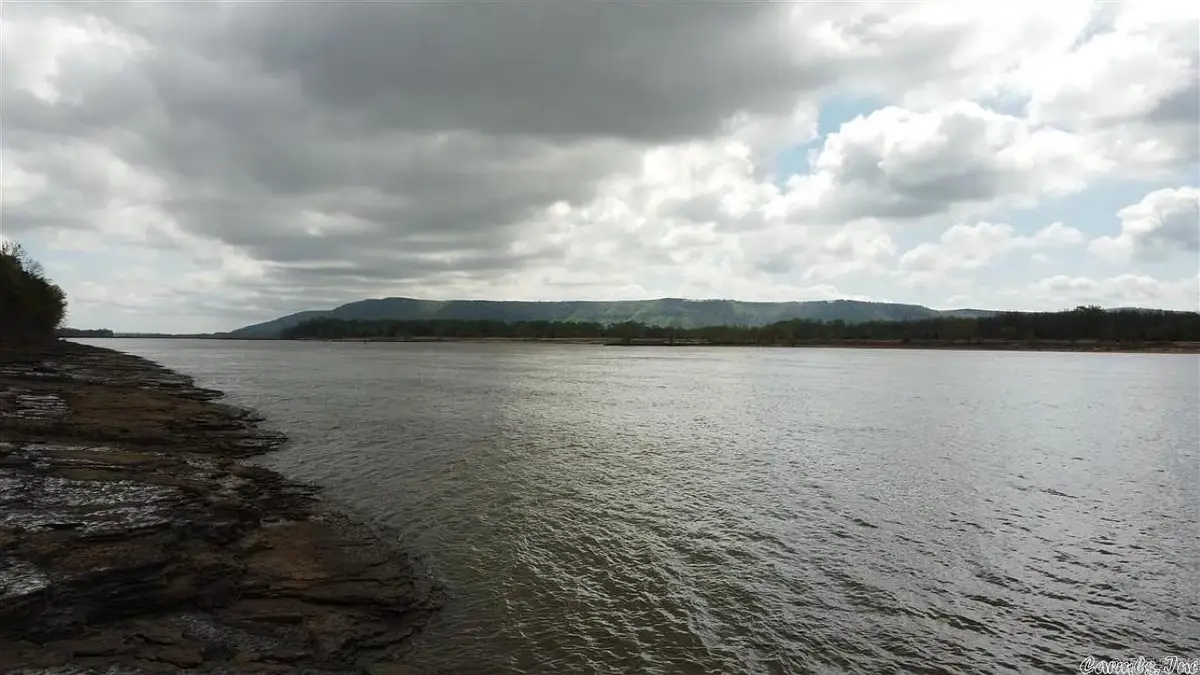 Tract 8 Hwy 105 S, Atkins, AR 72823 - Image #1