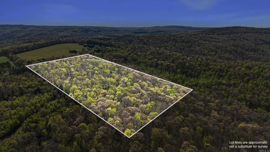 4578 Dabney Road, Jerusalem, AR 72080 - Image #2