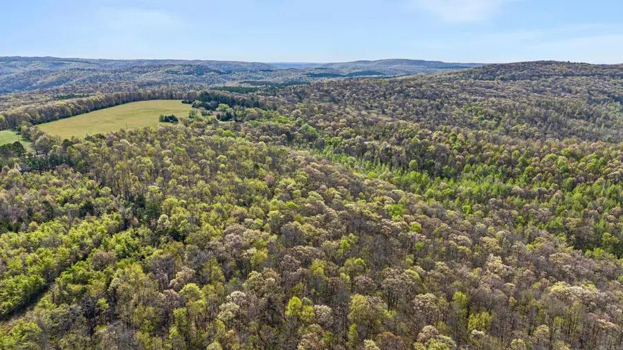 4578 Dabney Road, Jerusalem, AR 72080 - Image #3