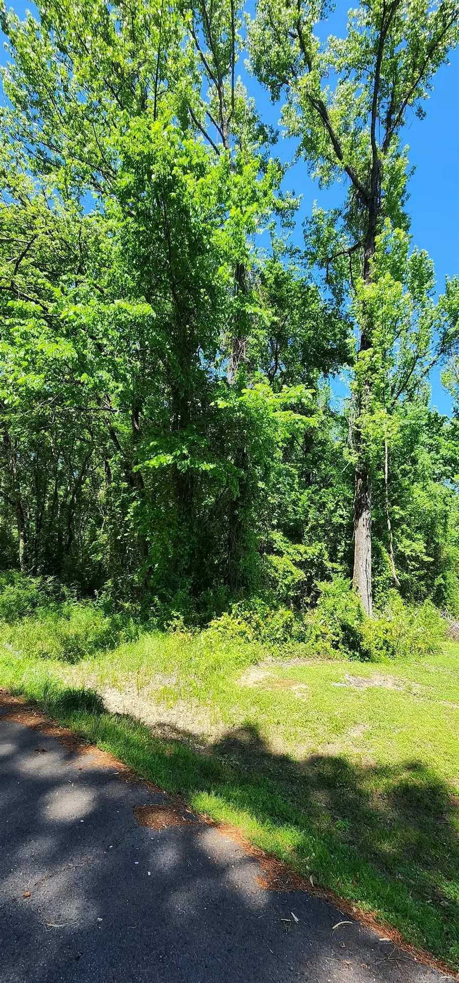 Address Withheld By Seller, Russellville, AR 72802 - Image #2