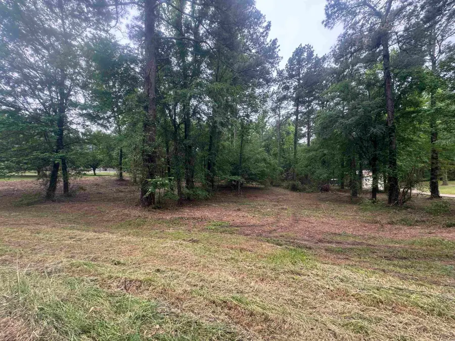 0 Holly Creek Road, Texarkana, TX 75503 - Image #2