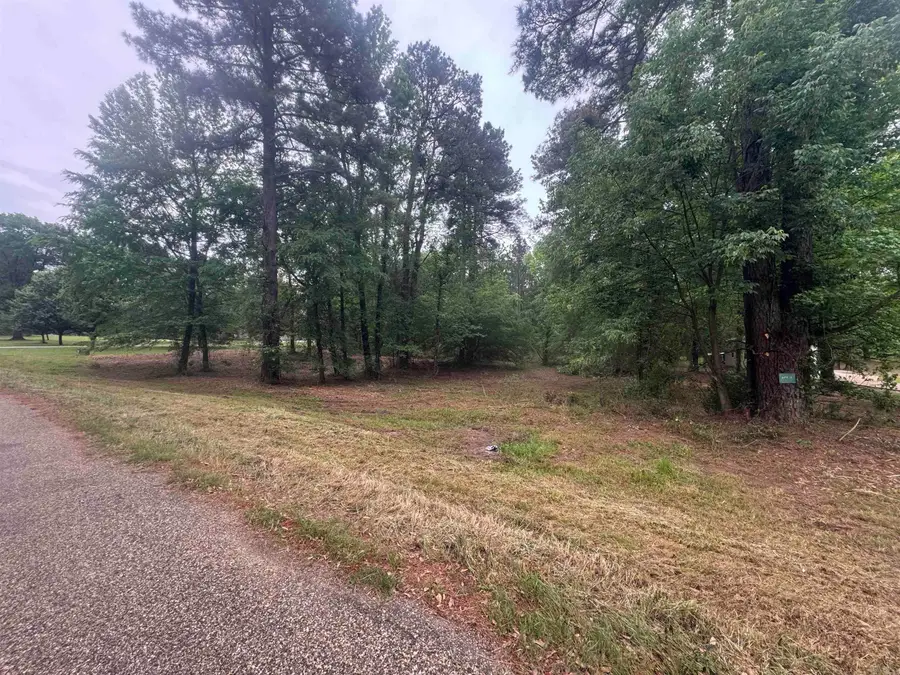 0 Holly Creek Road, Texarkana, TX 75503 - Image #3