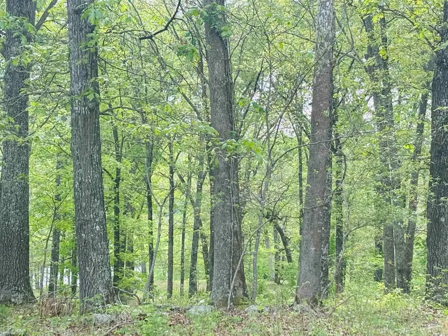 Lot 31 & 32 (white River Valley 4) Cougar Drive, Mountain Home, AR 72653 - Image #3