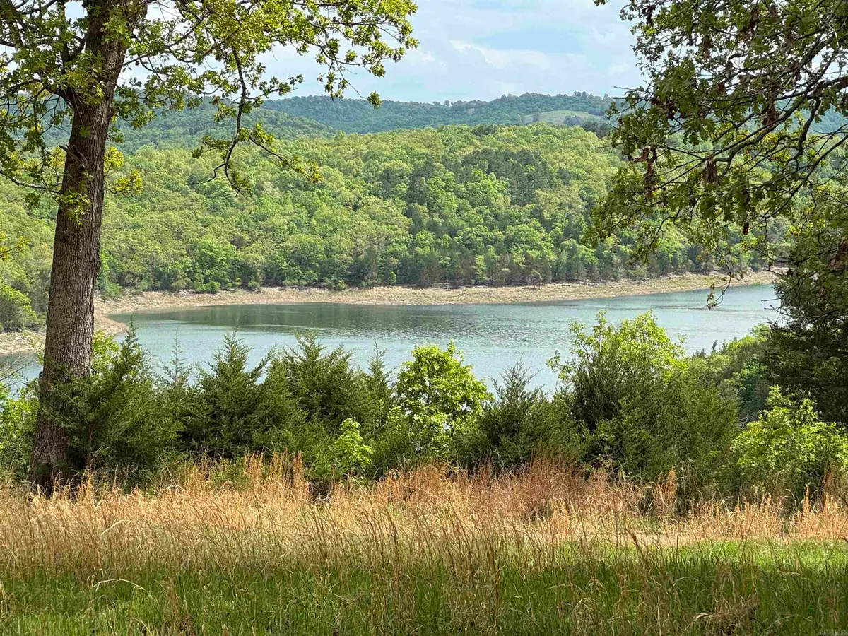 884 Lakehill Lane, Peel, AR 72668 - Image #1