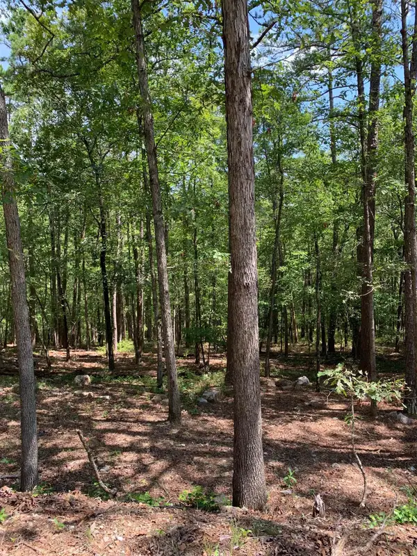 42 Gerante Way, Hot Springs Village, AR 71909