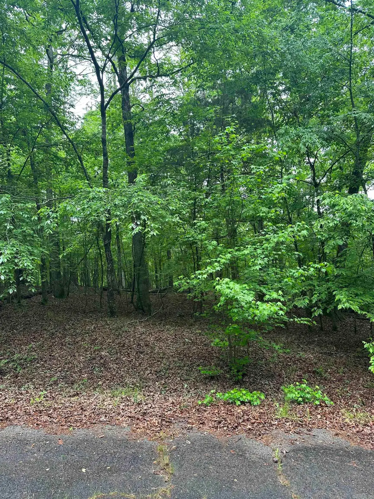 Lot 2 Vestonero Way, Hot Springs Village, AR 71909 - Image #1