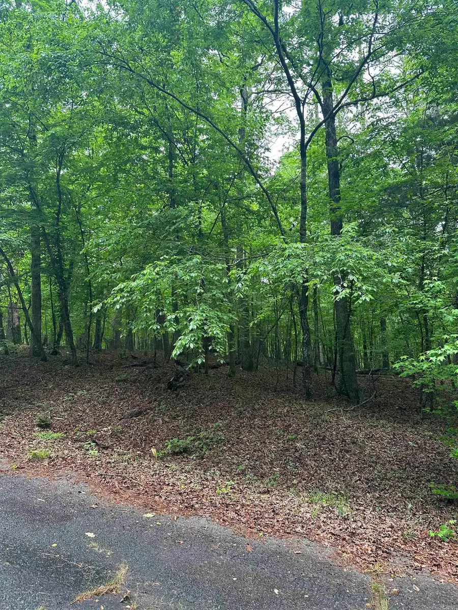 Lot 2 Vestonero Way, Hot Springs Village, AR 71909 - Image #2