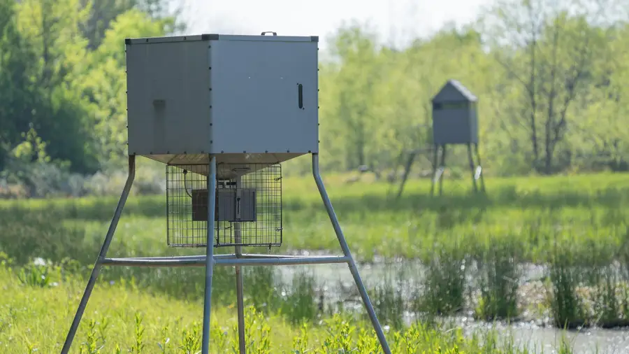 Address Withheld By Seller, Texarkana, AR 71854 - Image #3