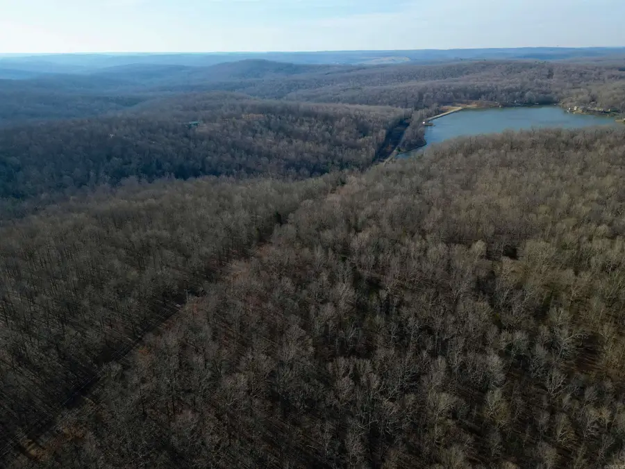 Address Withheld By Seller, Williford, AR 72482 - Image #2