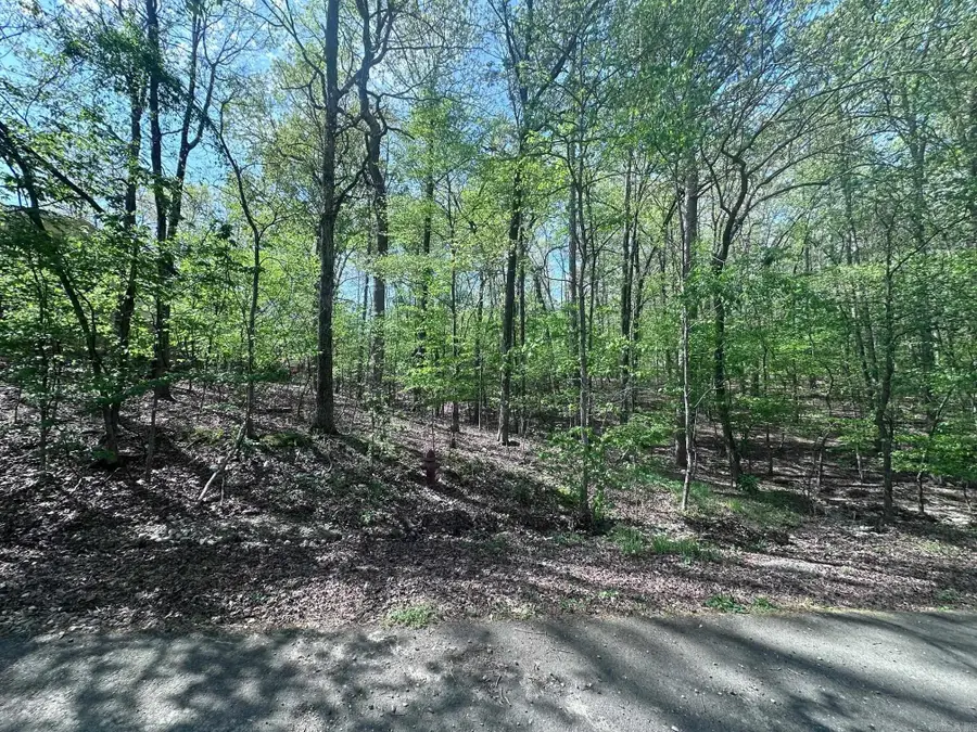 47 Rubi Circle, Hot Springs Village, AR 71909 - Image #2