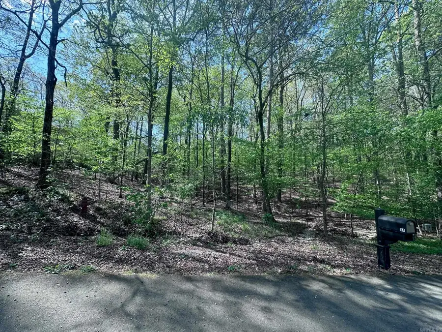 47 Rubi Circle, Hot Springs Village, AR 71909 - Image #3