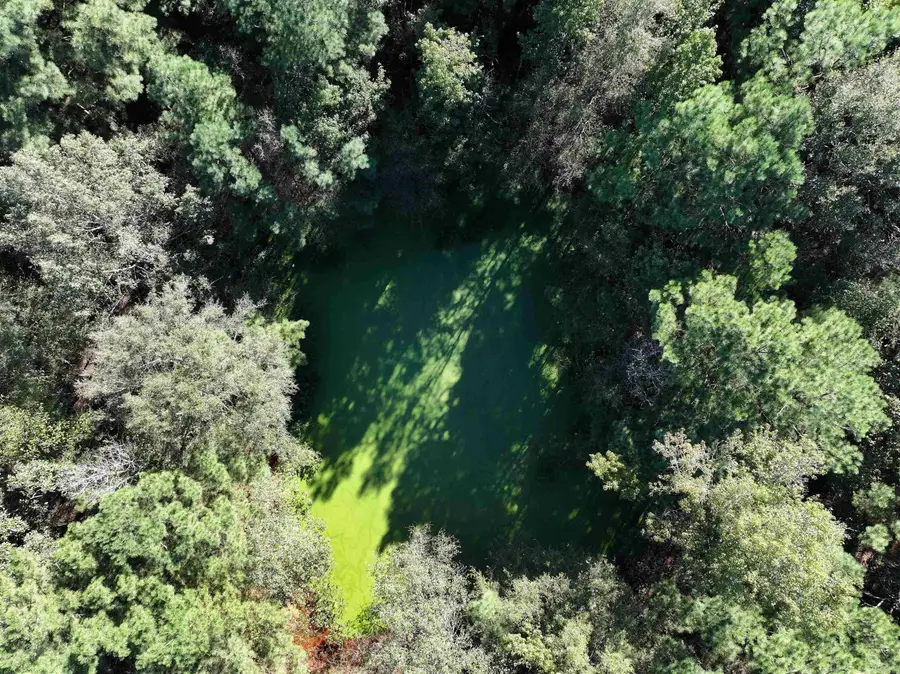 XXX Central Road, Horatio, AR 71842 - Image #2