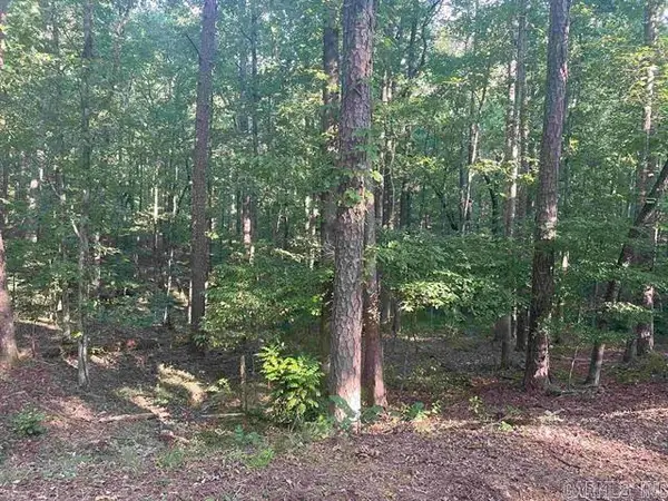 Lot 29 Carballo Lane, Hot Springs Village, AR 71909
