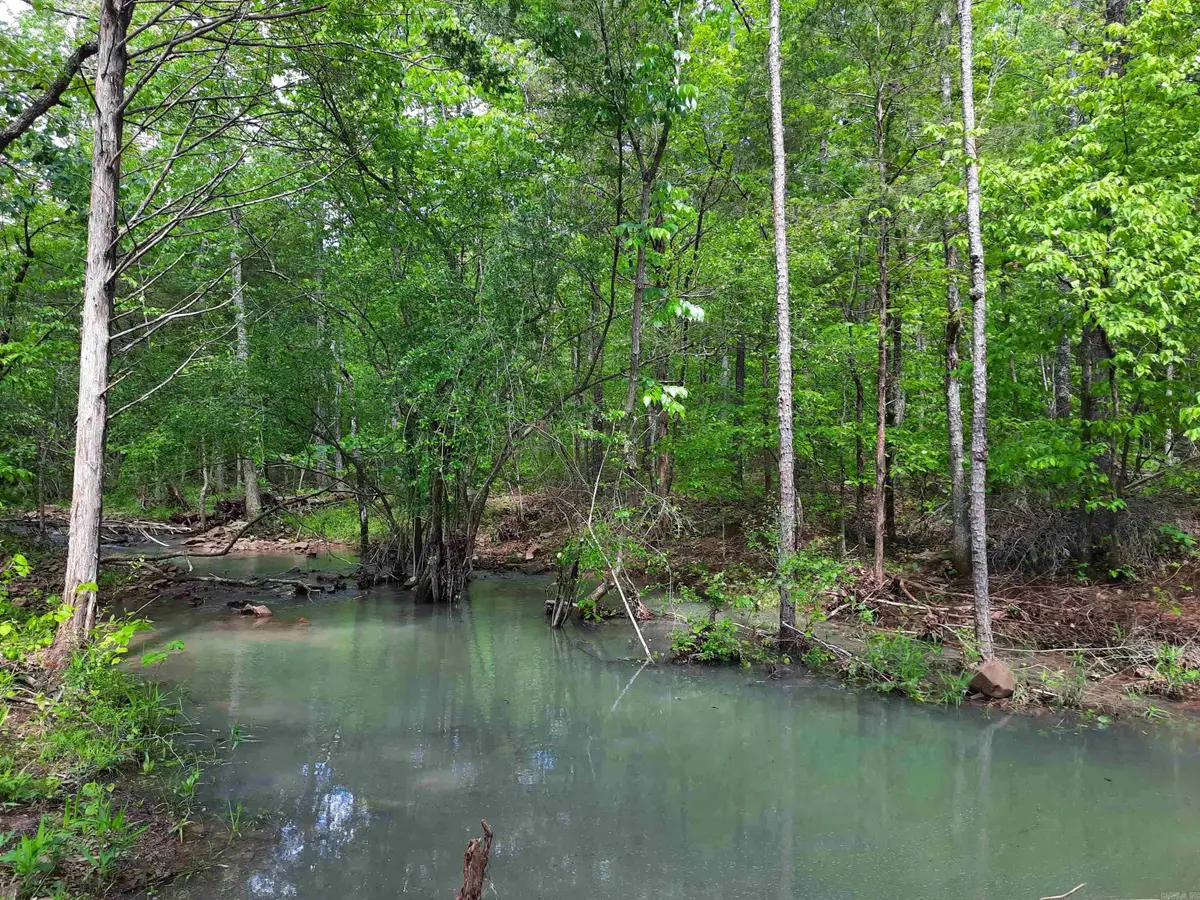 000 Benson Road, Mountain View, AR 72560 - Image #1