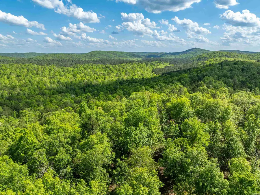 RPID 115120 Cedar Creek Road, Hot Springs, AR 71913 - Image #2