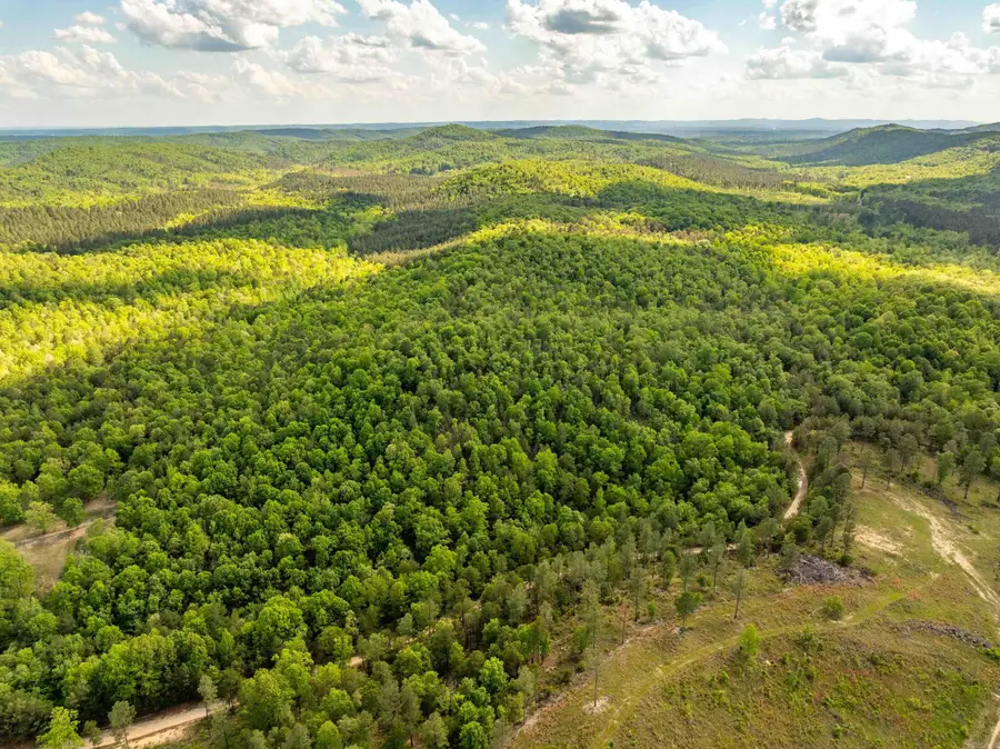 RPID 115120 Cedar Creek Road, Hot Springs, AR 71913 - Image #3