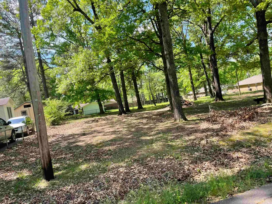 TBD Winchester, White Hall, AR 71602 - Image #2