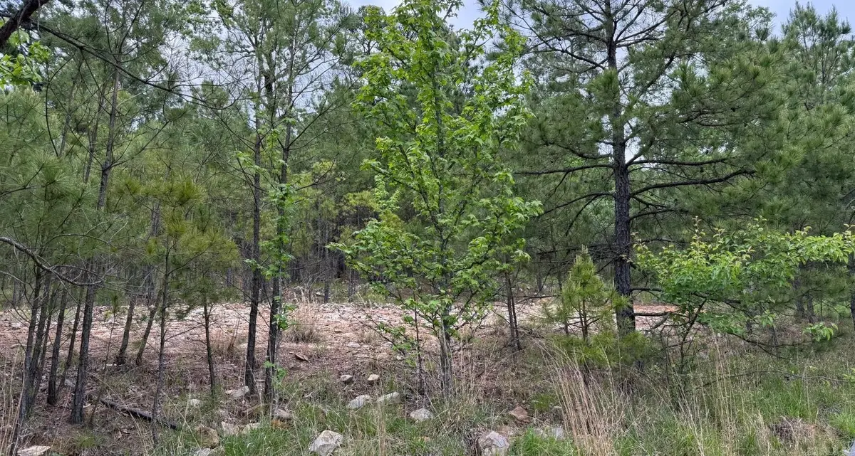 152 Oneida Way, Maumelle, AR 72113 - Image #1