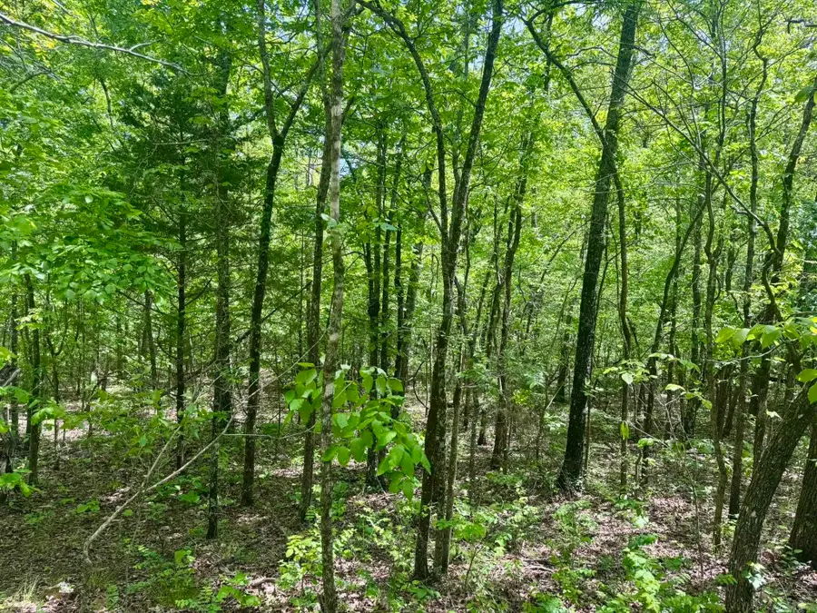 10A Kiowa Circle, Hardy, AR 72542 - Image #2