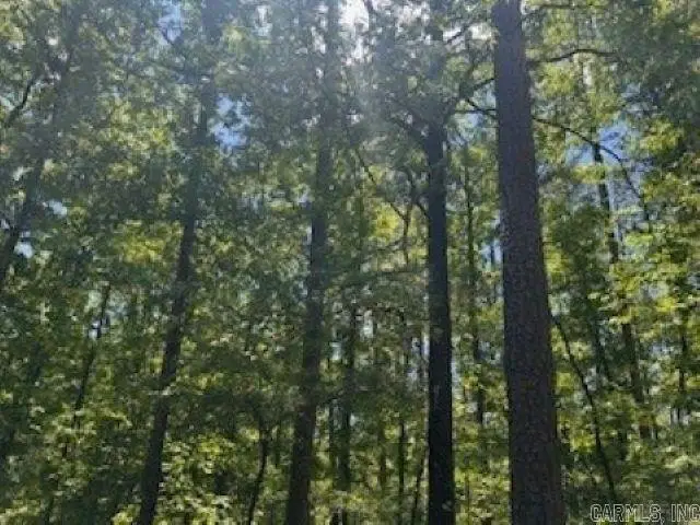 Cartaya Lane, Hot Springs Village, AR 71909 - Image #3