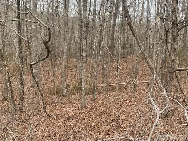 Lot 75 Mustang Drive, Clinton, AR 72031