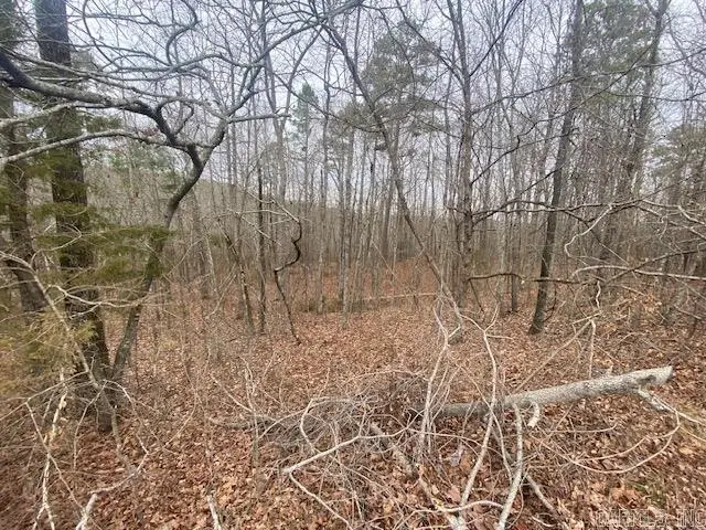 Lot 76 Mustang Drive, Clinton, AR 72031 - Image #3